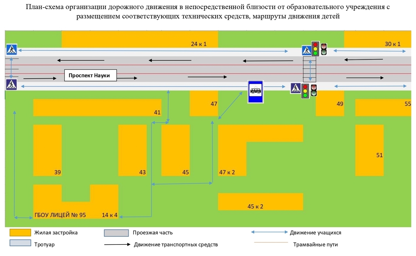 Дорожная безопасность